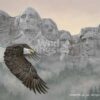 Wild wings American Splendor—Bald Eagle