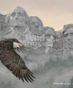 Wild wings American Splendor—Bald Eagle