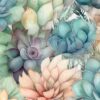 Succulent Range 250121