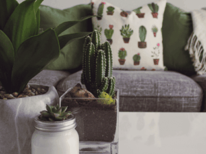 Décor & Lifestyle