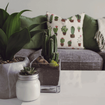 Décor & Lifestyle