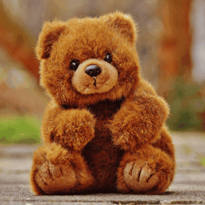 Bears